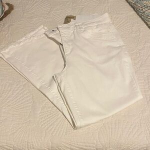 Democracy Ab Technology